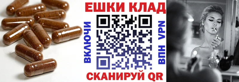 цены   Туапсе  Экстази Philipp Plein 