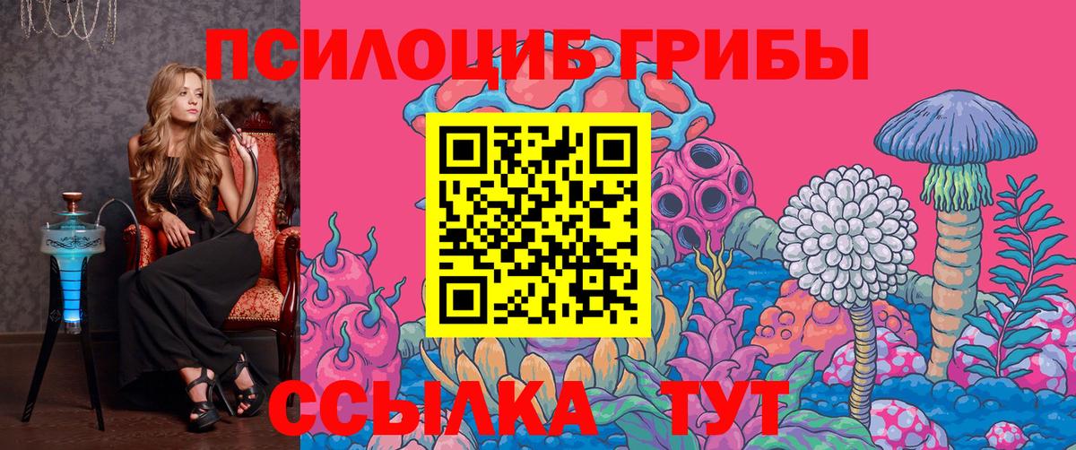 Псилоцибиновые грибы Magic Shrooms Туапсе