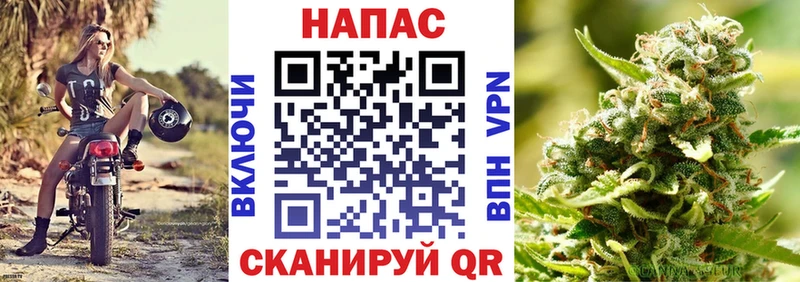 Шишки марихуана ГИДРОПОН  что такое   Туапсе 